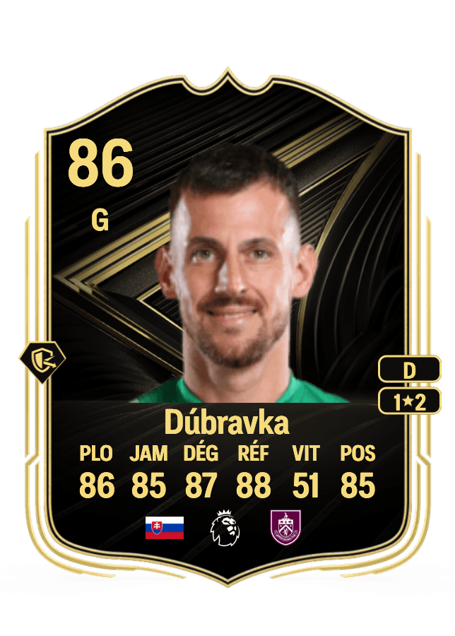 Martin Dúbravka card