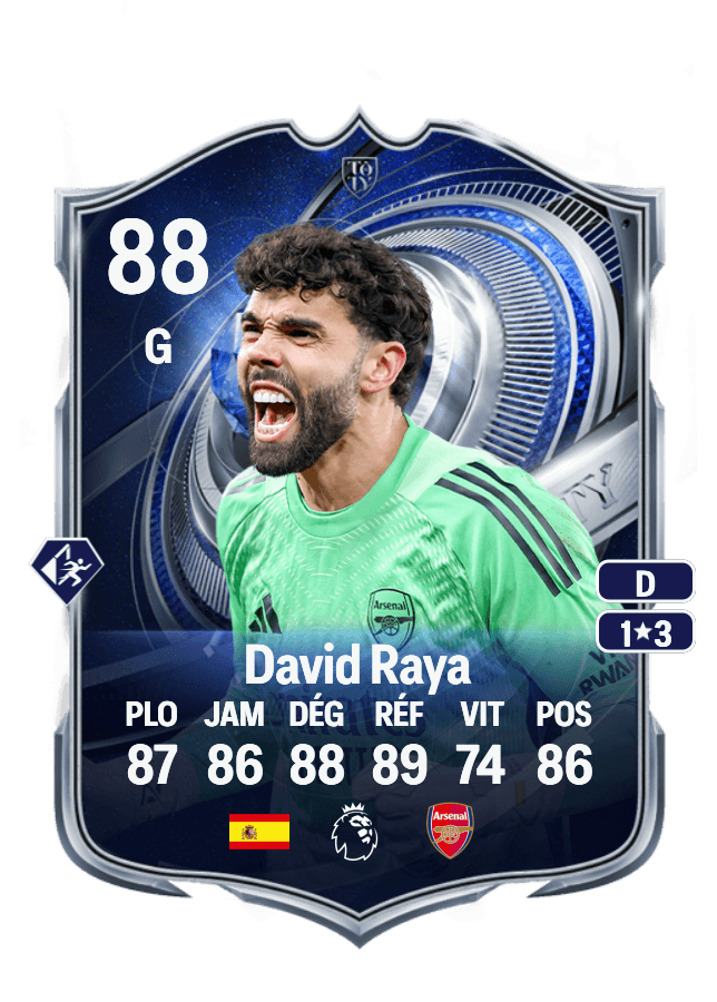 David Raya card
