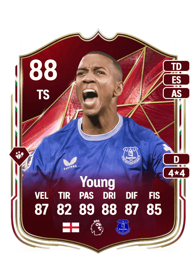 Ashley Young card
