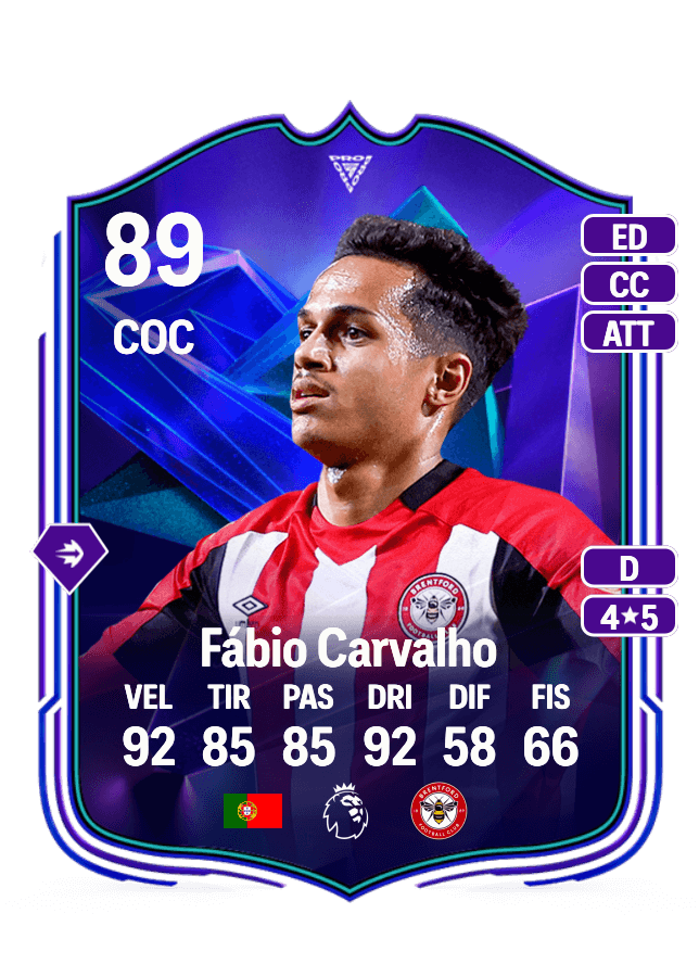 Fábio Carvalho card