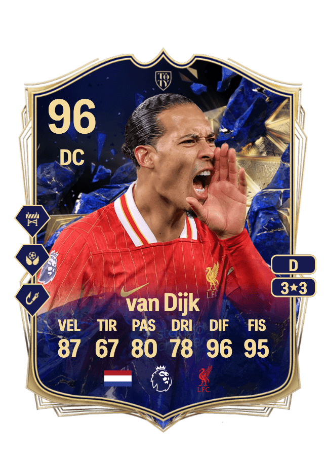 Virgil van Dijk card