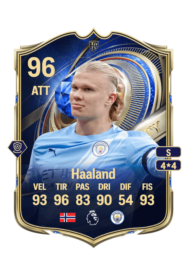 Erling Haaland card