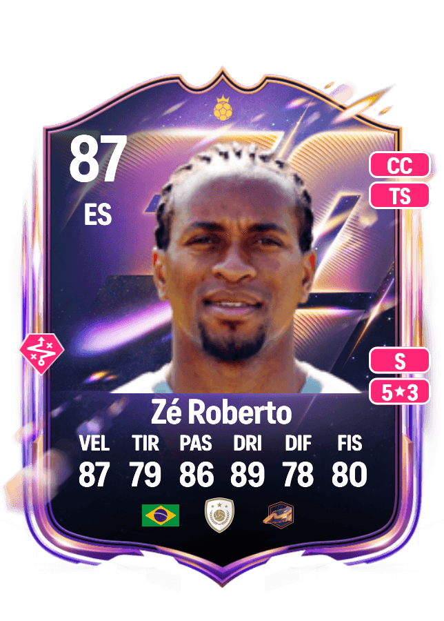 Zé Roberto card