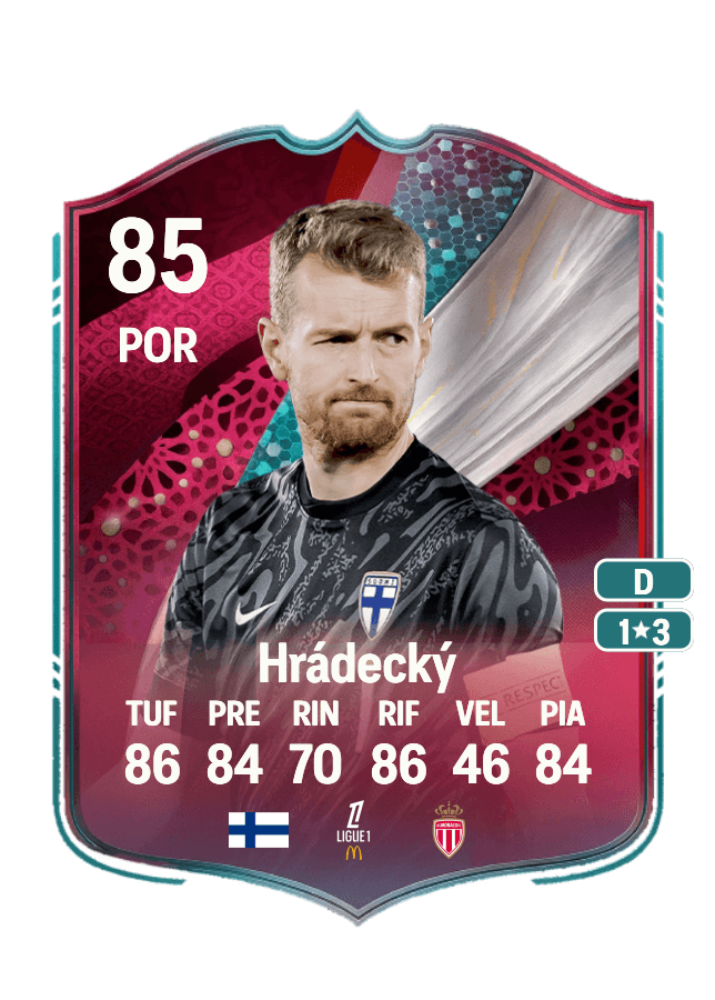 Lukáš Hrádecký card