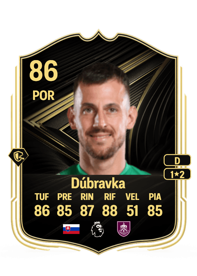 Martin Dúbravka card