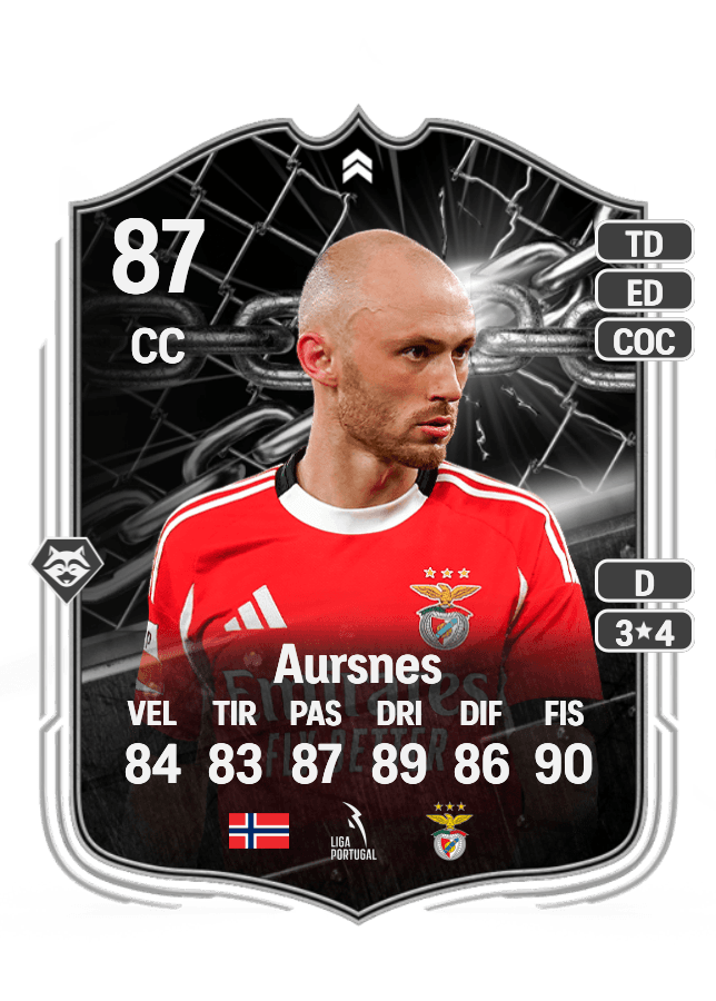 Fredrik Aursnes card
