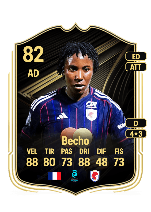 Vicki Becho card