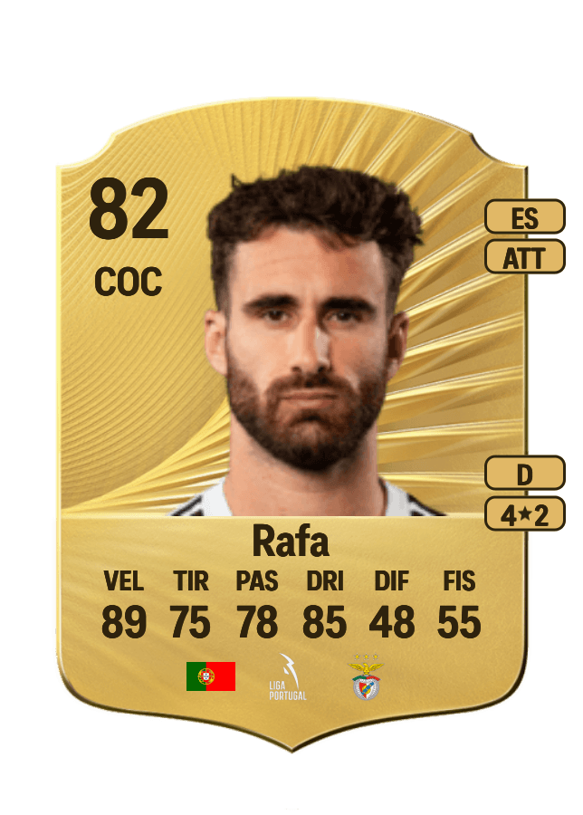 Rafa card
