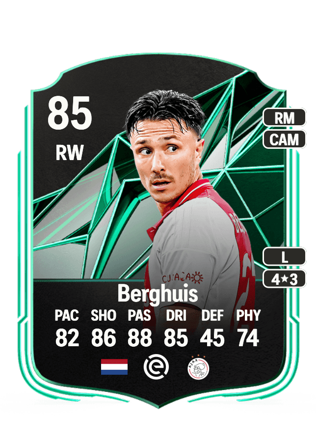 Steven Berghuis card