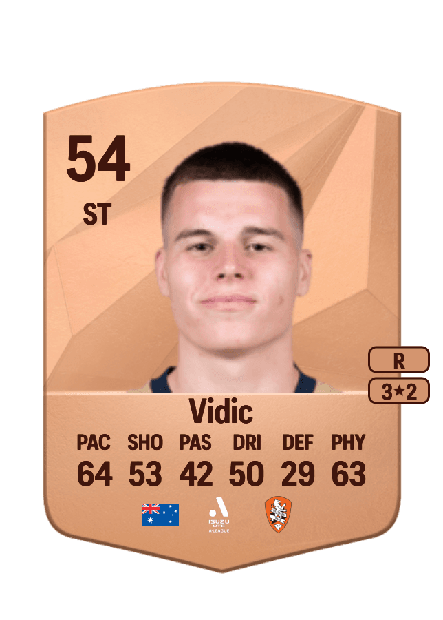 Justin Vidic card