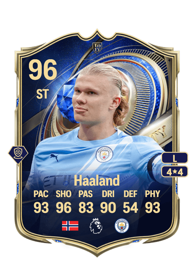 Erling Haaland card