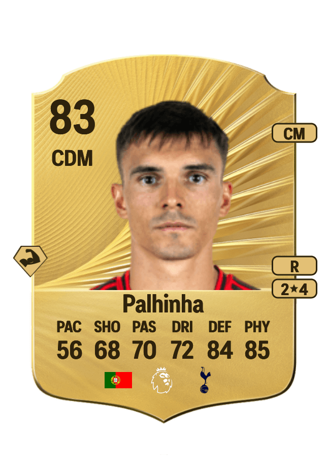 Palhinha card