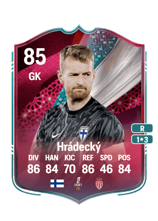 Lukáš Hrádecký card