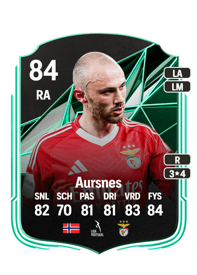 Fredrik Aursnes card