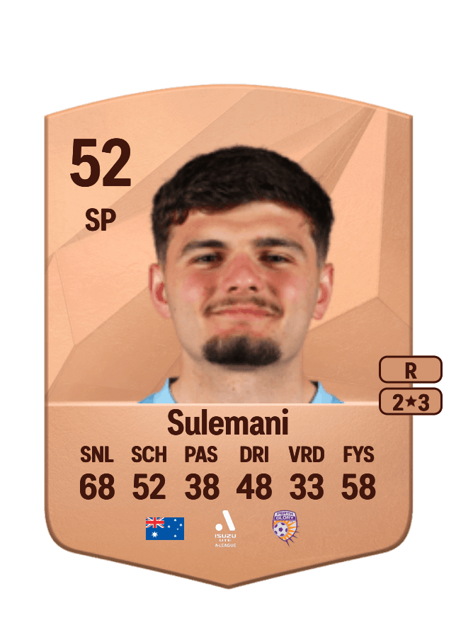 Arion Sulemani card