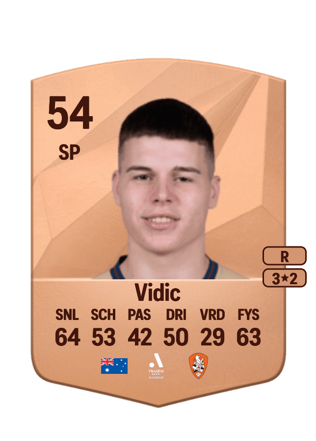 Justin Vidic card