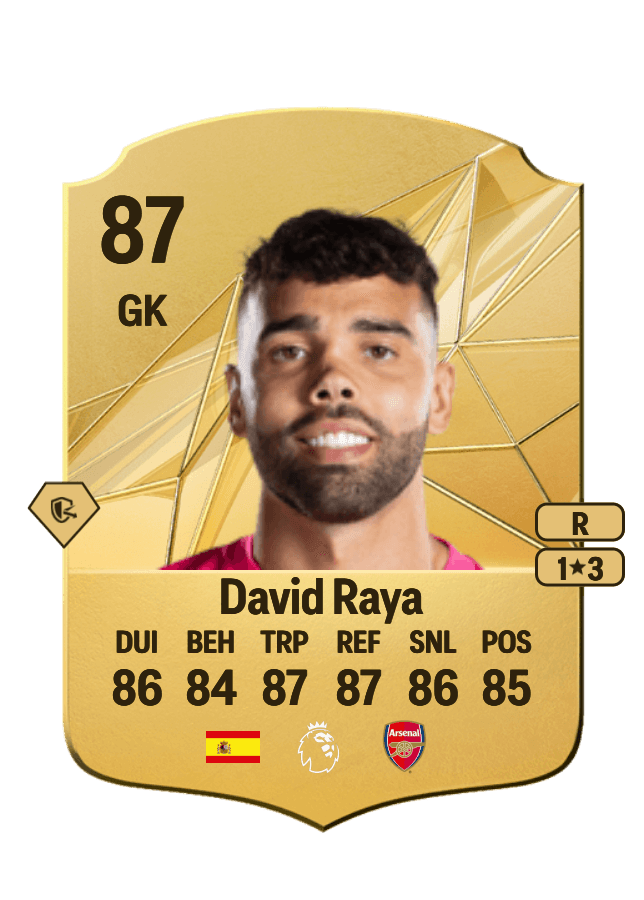 David Raya card