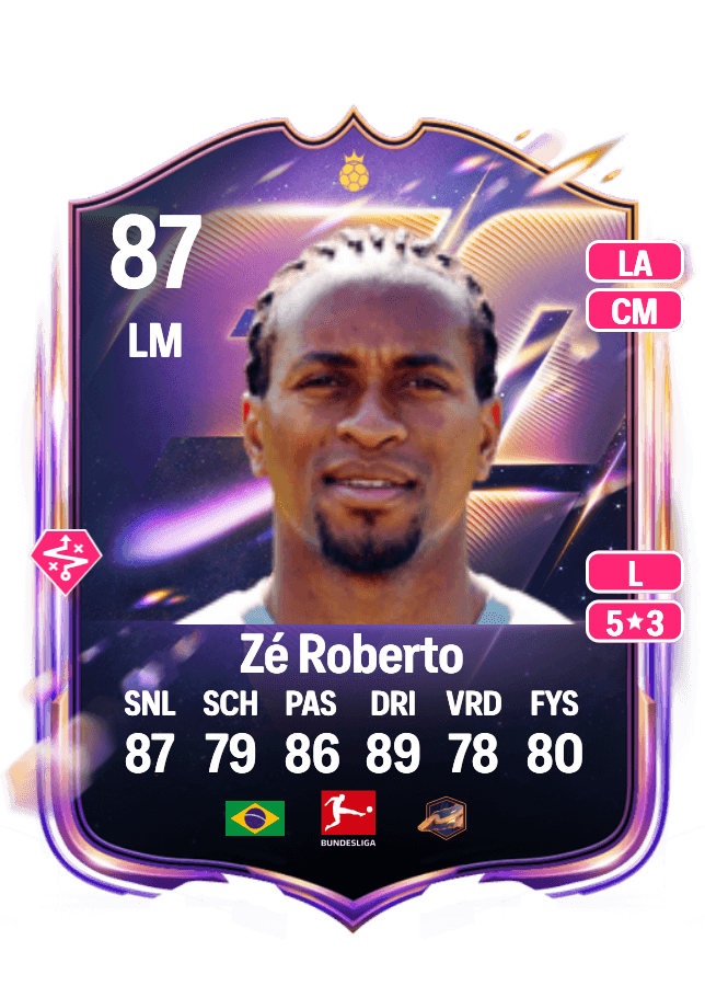 Zé Roberto card