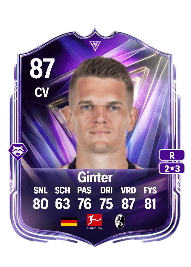 Matthias Ginter card