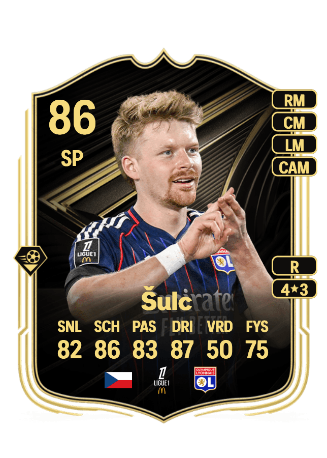 Pavel Šulc card