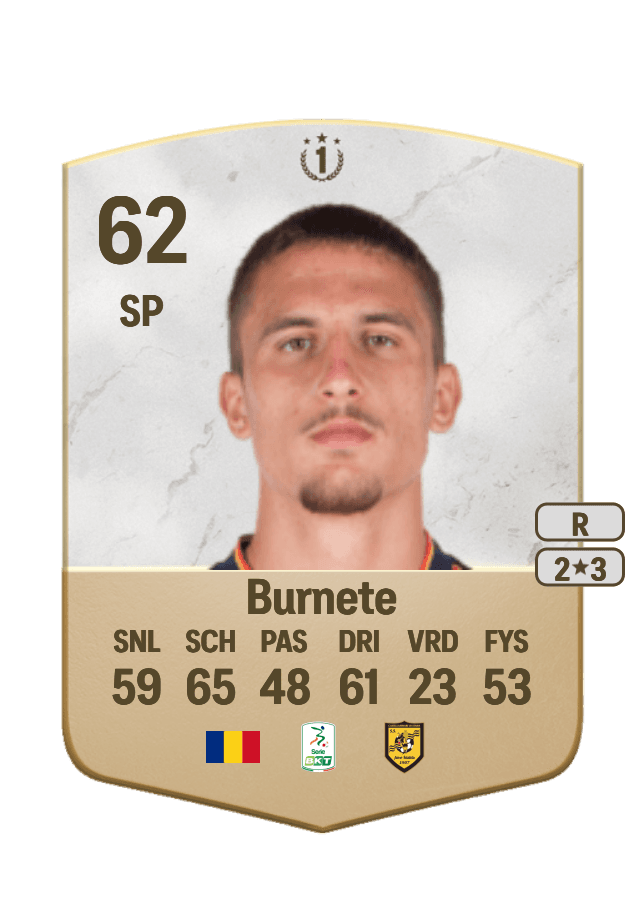 Rares Burnete card