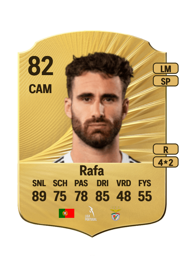 Rafa card
