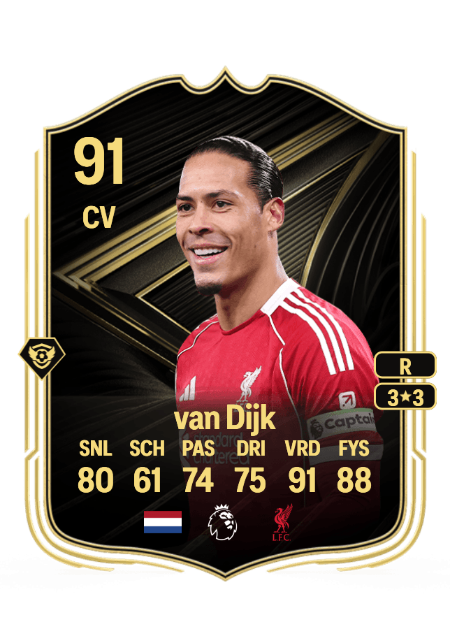 Virgil van Dijk card