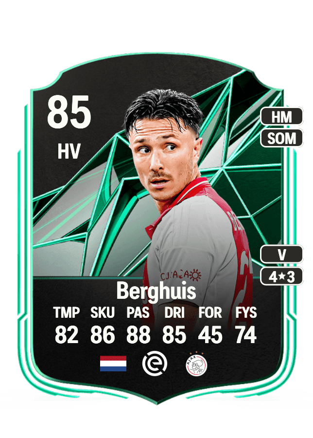 Steven Berghuis card