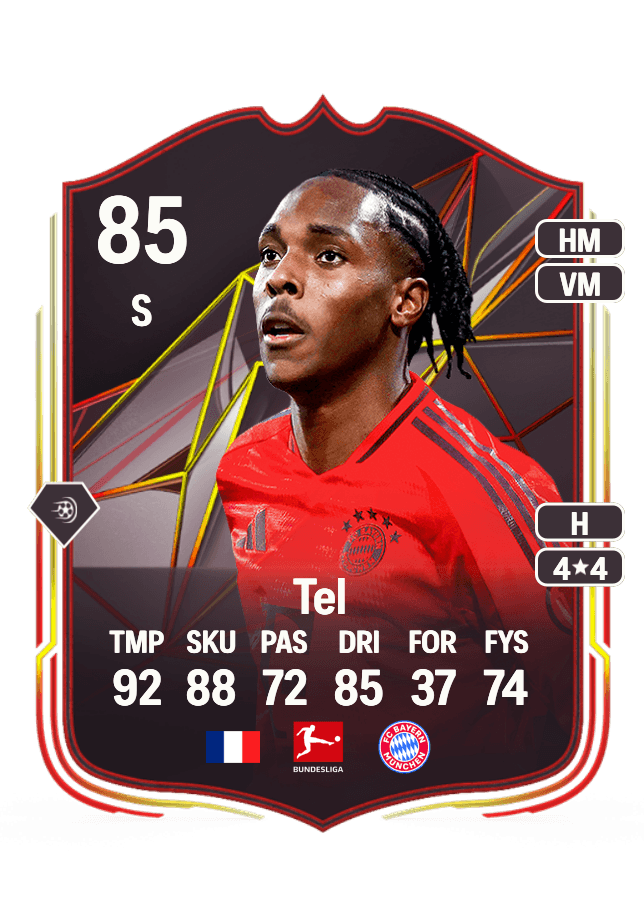 Mathys Tel card