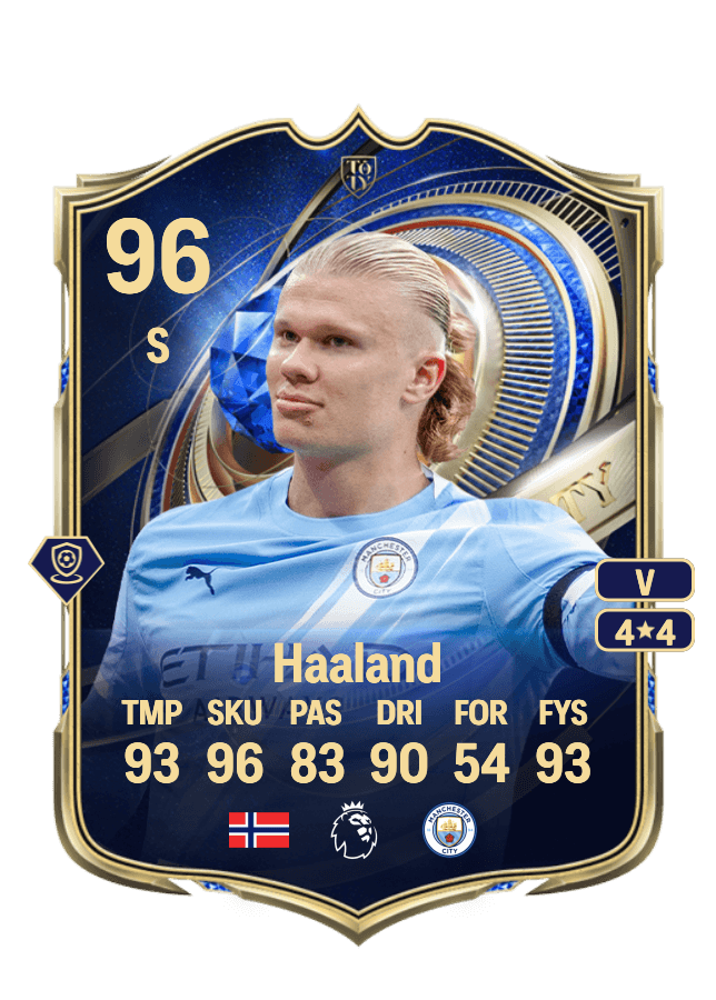 Erling Haaland card