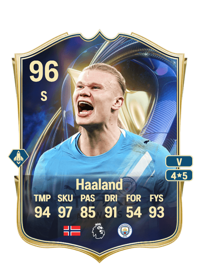 Erling Haaland card