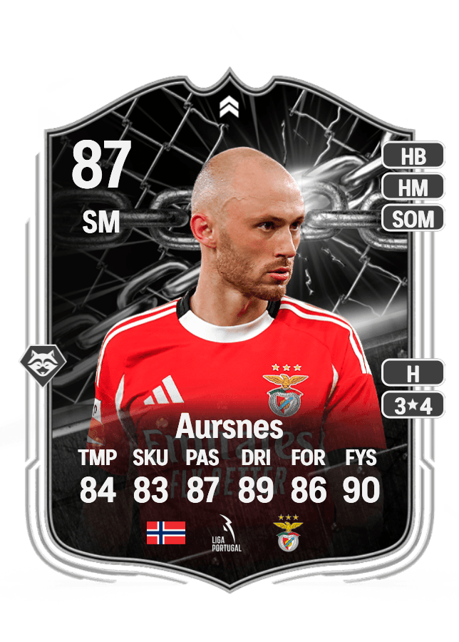 Fredrik Aursnes card