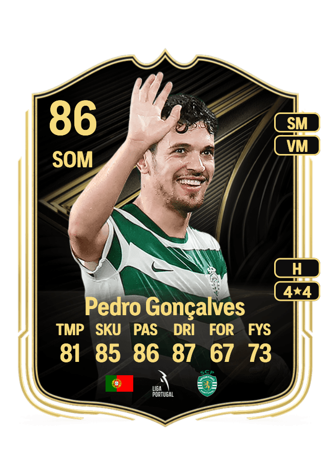 Pedro Gonçalves card