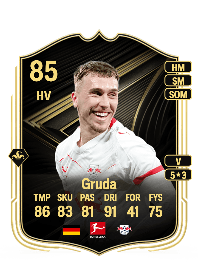 Brajan Gruda card