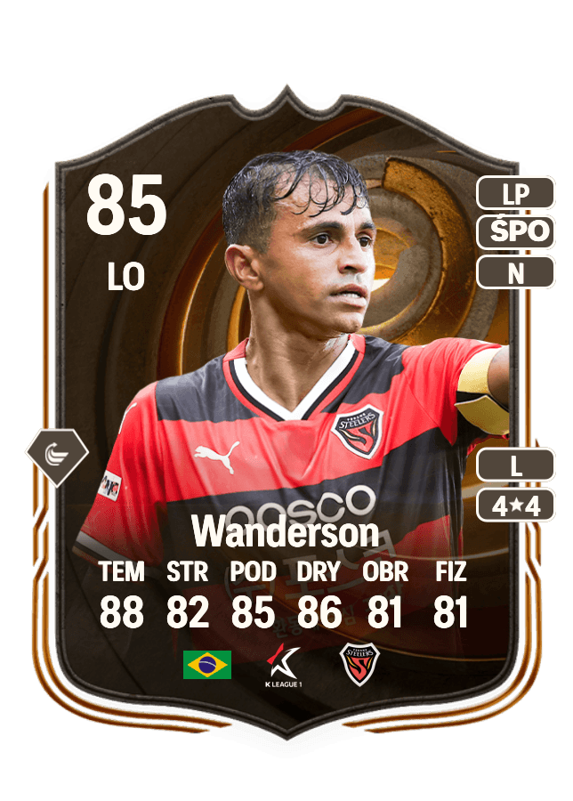 Wanderson card