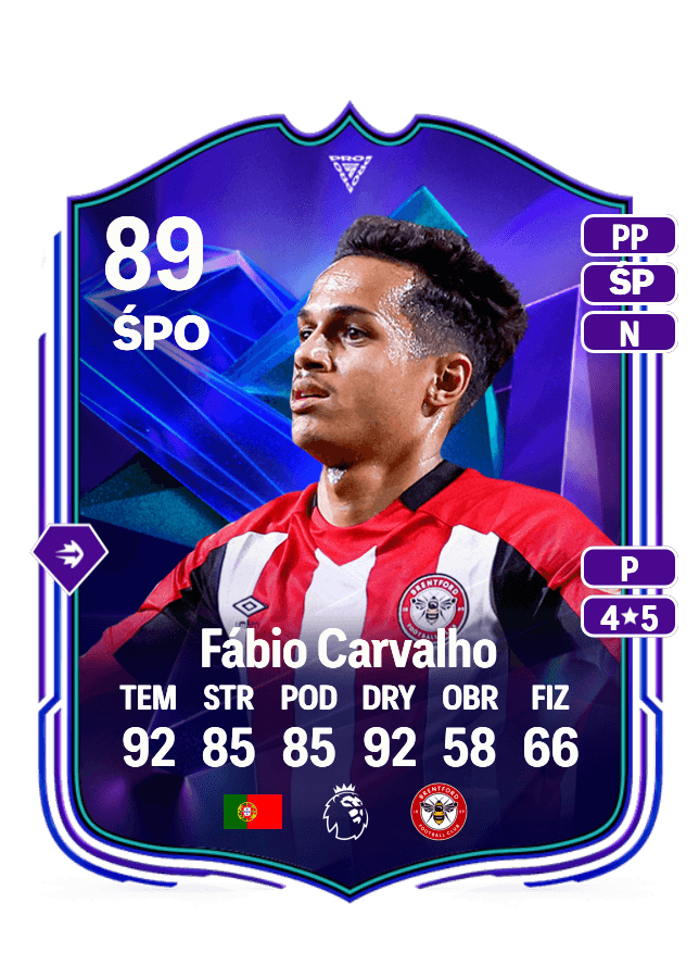 Fábio Carvalho card
