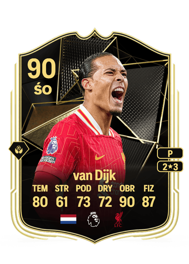 Virgil van Dijk card