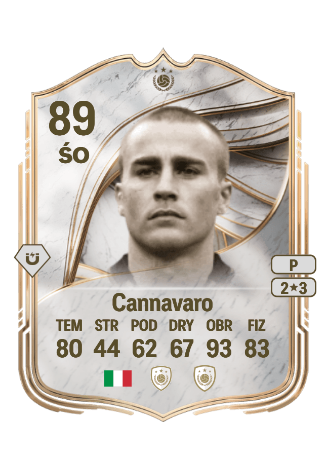 Fabio Cannavaro card