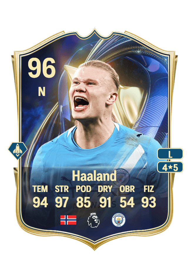 Erling Haaland card
