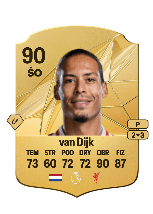 Virgil van Dijk card