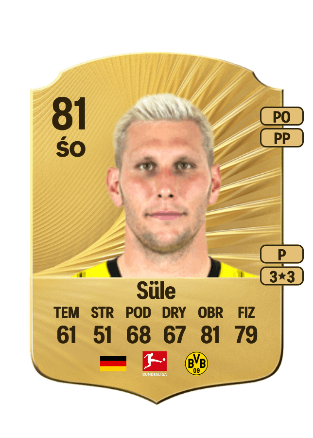 Niklas Süle card
