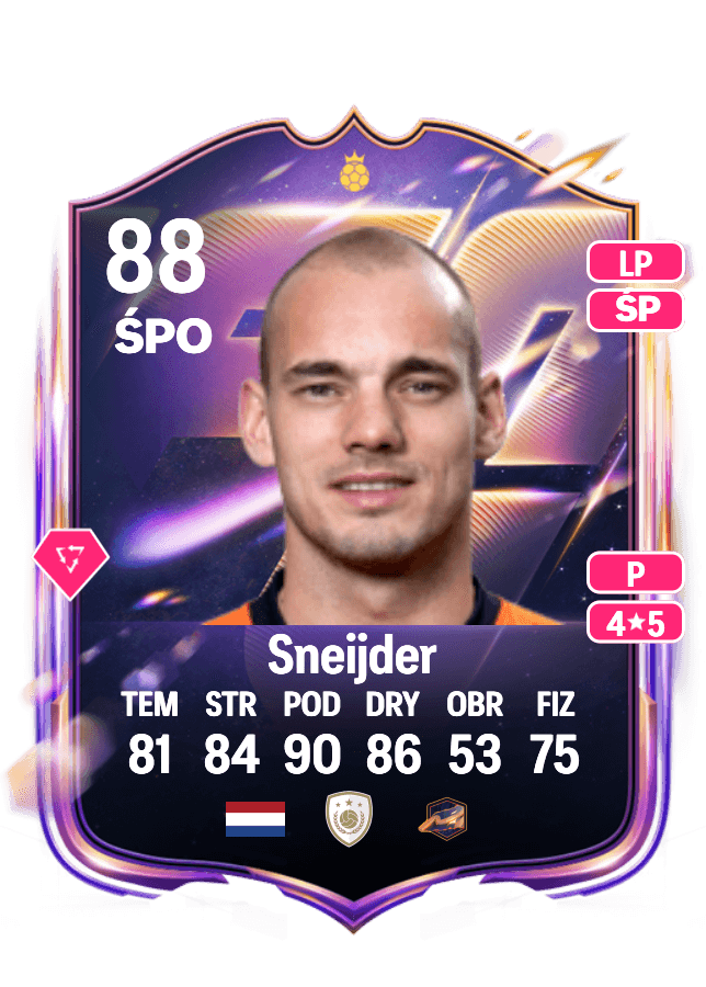 Wesley Sneijder card