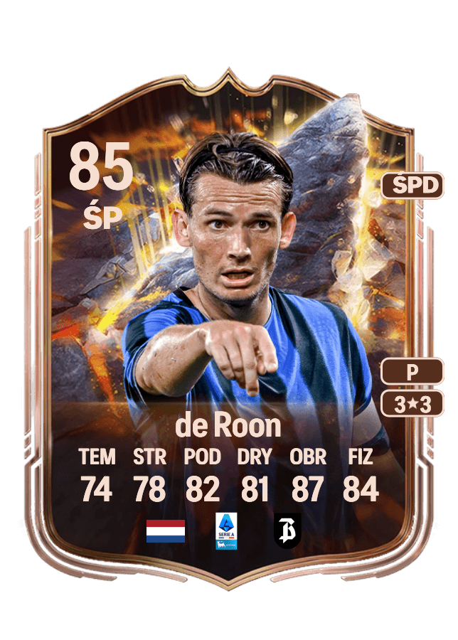 Marten de Roon card