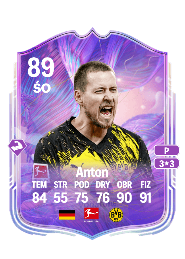 Waldemar Anton card