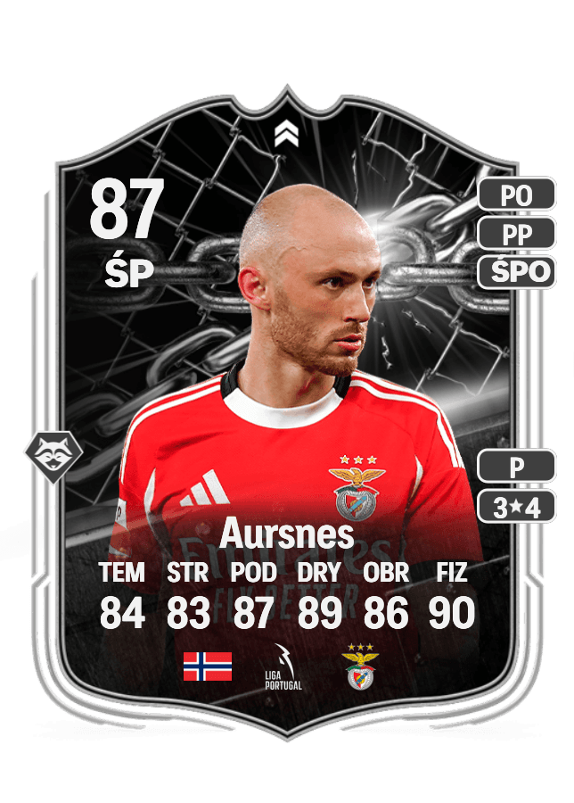 Fredrik Aursnes card