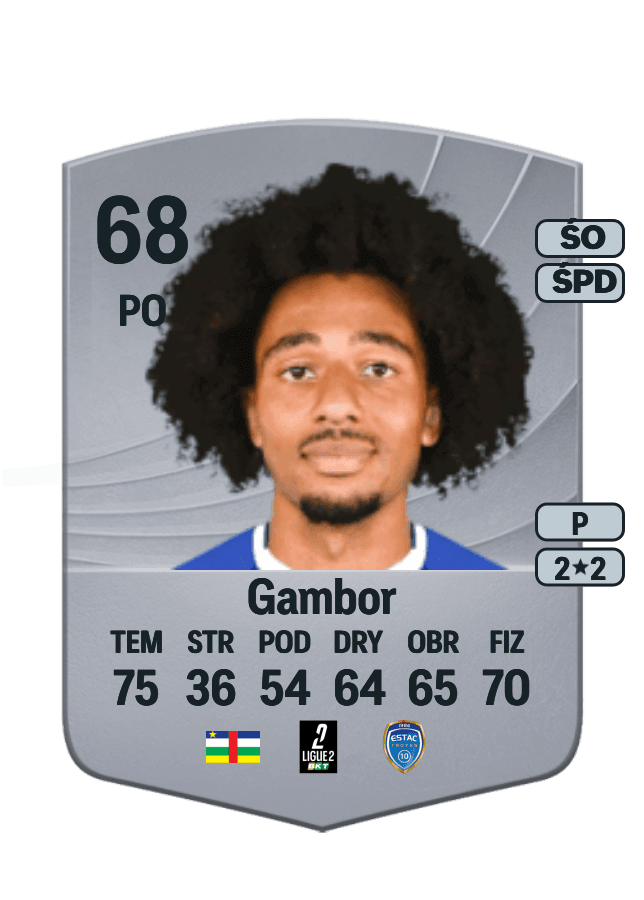 Hugo Gambor card