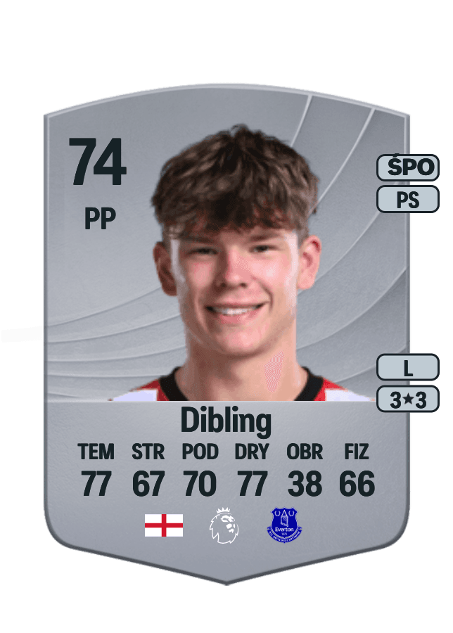 Tyler Dibling card