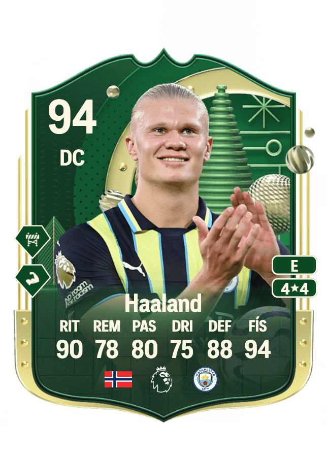 Erling Haaland card