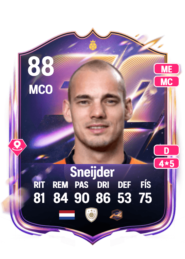 Wesley Sneijder card
