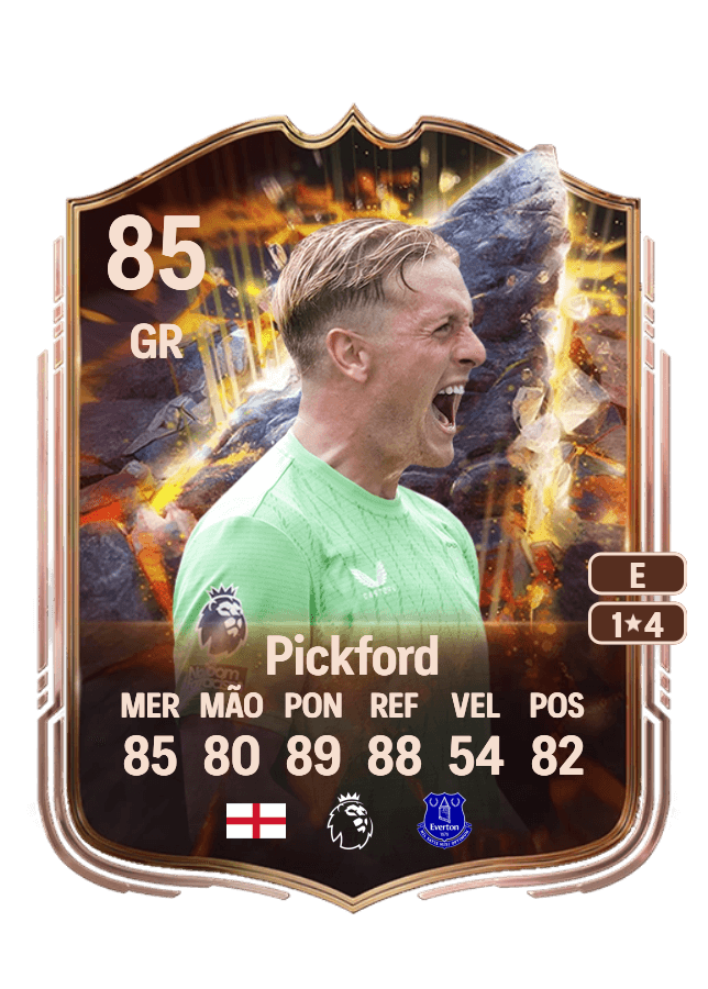 Jordan Pickford card